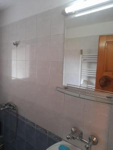 baño con espejo y lavabo en Къща за гости Дани en Govedartsi
