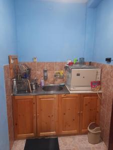 a kitchen with a sink and a microwave at Къща за гости Дани in Govedartsi