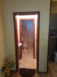 a bathroom with a toilet and a door to a room at Къща за гости Дани in Govedartsi