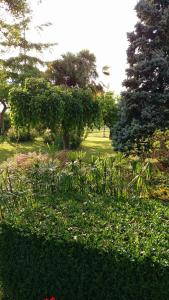 einen Garten mit Bäumen und Pflanzen in einem Park in der Unterkunft Comme chez vous "pour 4 personnes" in Puycornet