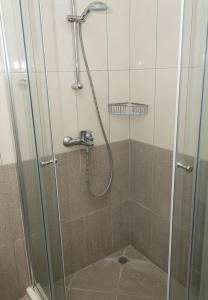 a shower with a glass door in a bathroom at Balchik Garden Palace - 2BD Flat in Balchik