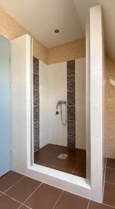 a bathroom with a shower with a glass door at Zsuzsi Vendégház Visz in Visz