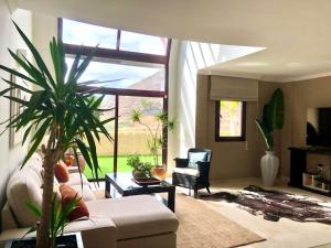 聖克魯斯－德特內里費的住宿－Precioso chalet en Santa Cruz con piscina，带沙发和棕榈树的客厅