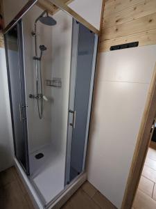 een badkamer met een douche en een glazen deur bij Lucky house Borsk in Borsk