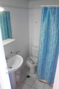 a bathroom with a toilet and a blue shower curtain at Vaso Alykanas Studios in Alikanas