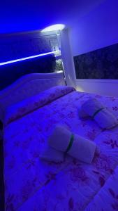 波佐利的住宿－Elina’s Puteoli House，一间卧室配有一张紫色照明床