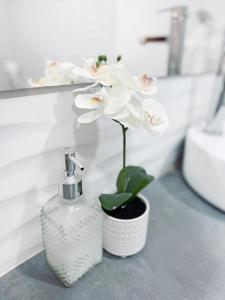 a white flower in a vase next to a soap dispenser at Comunidad Calle 13 Hotel Boutique in Santa Marta