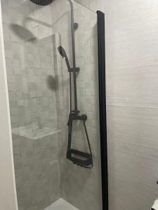 um chuveiro com uma porta de vidro na casa de banho em Estudio TAU em Jerez de los Caballeros