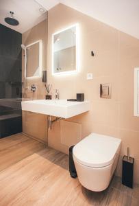 ein Badezimmer mit einem weißen Waschbecken und einem WC in der Unterkunft WakeMālpils brīvdienu mājas in Mālpils