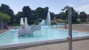 a swimming pool with an elephant in the water at Schaffhausen Munot in Schaffhausen