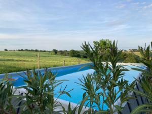 a swimming pool in a field with plants at « La Crécerelle » spacieux gîte contemporain entre Tarn et Aveyron in Sainte-Gemme