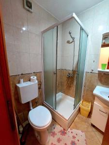 a bathroom with a shower and a toilet and a sink at Apartment DRAZENKA in Novalja