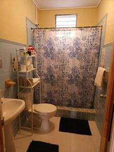 een badkamer met een douche, een toilet en een wastafel bij Sunset Breeze in Pointe Michel