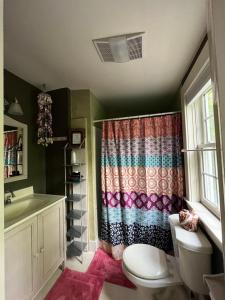 a bathroom with a toilet and a shower curtain at Admiral Peary Inn Bed & Breakfast in Fryeburg