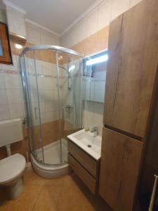 a bathroom with a shower and a sink and a toilet at Apartman Morena in Vlašići