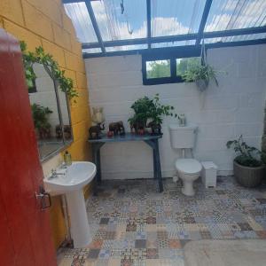 The Walled Garden Yurt في تولو: حمام مع حوض ومرحاض