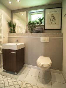 W łazience znajduje się toaleta, umywalka i lustro. w obiekcie Chata Laci na Kamenci w mieście Kaluža