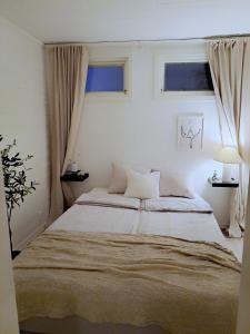 a bedroom with a large bed and two windows at Attefallshuset in Hyllinge