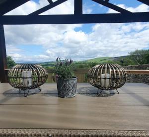 due cesti su un portico con una pianta in un vaso di The Log Cabin @ The Old Forge Glamping a Tullow