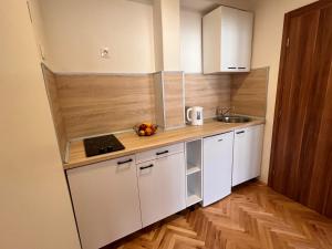 Kuchyň nebo kuchyňský kout v ubytování Guest House Kiwi Mostar