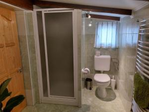 baño con aseo y puerta de ducha de cristal en Biagio apartman, en Balatonlelle