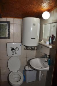 ein kleines Bad mit WC und Waschbecken in der Unterkunft Skadar Lake House Virpazar in Virpazar