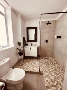 a bathroom with a shower and a toilet and a sink at Cape Recife Lighthouse Luxury Villa in Port Elizabeth