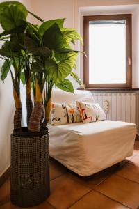 un soggiorno con divano bianco e piante di Osimo Caves Rooms a Osimo