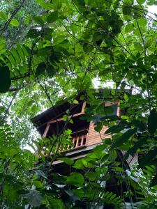 a building seen through the leaves of trees at Arenal Rústic Lodge in Fortuna