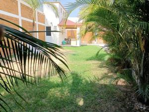 un patio con palmeras junto a un edificio en Increible casa en renta en Cocoyoc Morelos, en Cocoyoc