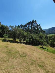 un champ herbeux avec des arbres en arrière-plan dans l'établissement Rancho 4 Corações, à Urubici