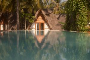 una piscina con una casa en el fondo en 81 Palms Resort, en Nembrala
