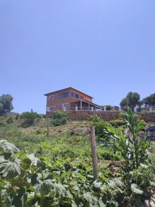 a house on top of a hill with plants at Dar Aya Dmina in Demina