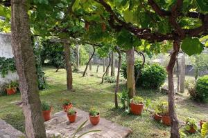 Vonkajšia záhrada v ubytovaní A Barraca. Casa con jardín y vistas a la ría