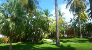 Giardino di STUDIO FONCTIONNEL dans HOTEL CARAYOU SPA PISCINES