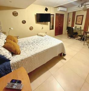 a bedroom with a bed and a tv on the wall at Hospédate en Paseo Santa Lucía - LOFT in Monterrey