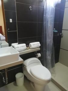 een badkamer met een wit toilet en een wastafel bij LA FAMILIA NASCA HOUSE in Nazca