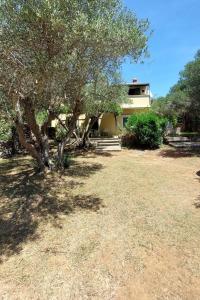 a house with a tree in front of a yard at Apartments by the sea Cove Pogana, Cres - 21464 in Punta Križa