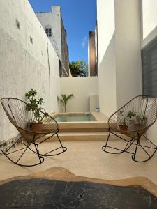 Dos sillas con plantas en una habitación en Hotel and hostel KAB en Cancún
