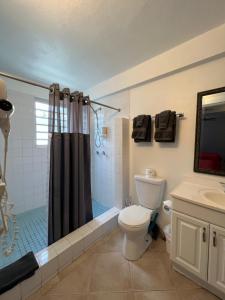 a bathroom with a shower and a toilet and a sink at The Vieques Guesthouse in Vieques