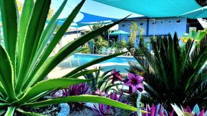Bazén v ubytování Hidden Palms Inn Deluxe Room nebo v jeho okolí