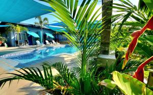 Bazén v ubytování Hidden Palms Inn Deluxe Room nebo v jeho okolí
