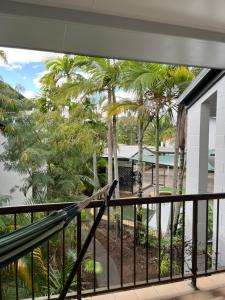 a bird sitting on a balcony looking out at the palm trees at Coral Reef Resort in Cairns