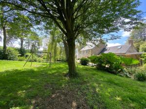 a tree in the middle of a yard with a swing at Semi-detached house, St Sauveur-le-Vicomte in Saint-Sauveur-le-Vicomte