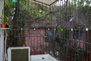 klatka z dwoma ptakami w środku w obiekcie Zely Home #2 w mieście Cancún