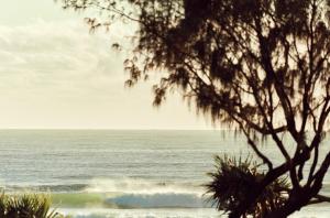 a view of the ocean from a beach with a tree at Houston Beachfront Apartments in Gold Coast