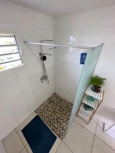 a shower with a glass door in a bathroom at Villa KasaLeu in Saint-Leu