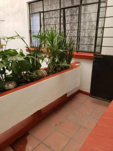 Habitación con terraza privada في مدينة ميكسيكو: غرفة بها نافذة عليها نباتات