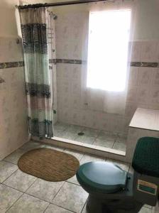 a bathroom with a blue toilet and a shower at Habitación con terraza privada in Mexico City