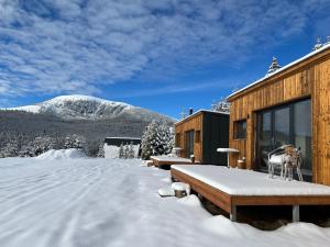 a cabin in the snow with a mountain in the background at Heaven`s cabins in Tău Bistra